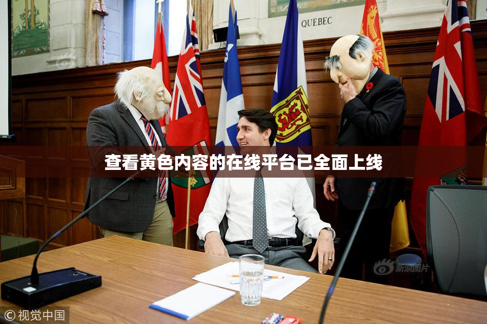 查看黄色内容的在线平台已全面上线