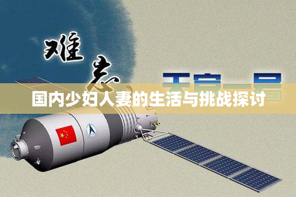 国内少妇人妻的生活与挑战探讨