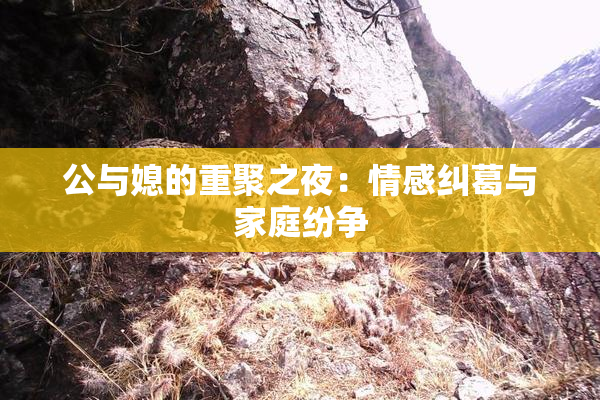 公与媳的重聚之夜：情感纠葛与家庭纷争