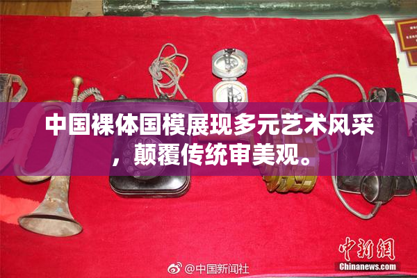 中国裸体国模展现多元艺术风采，颠覆传统审美观。