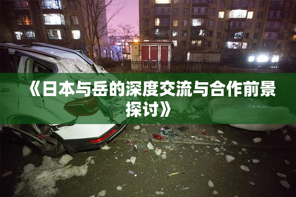 《日本与岳的深度交流与合作前景探讨》