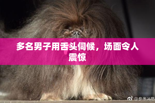多名男子用舌头伺候，场面令人震惊
