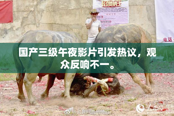 国产三级午夜影片引发热议，观众反响不一。