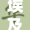 埃及猫网原版内容精彩纷呈，带你领略猫咪魅力