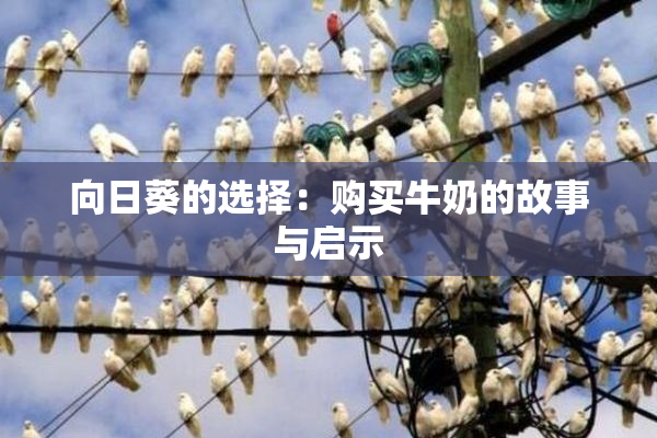 向日葵的选择：购买牛奶的故事与启示