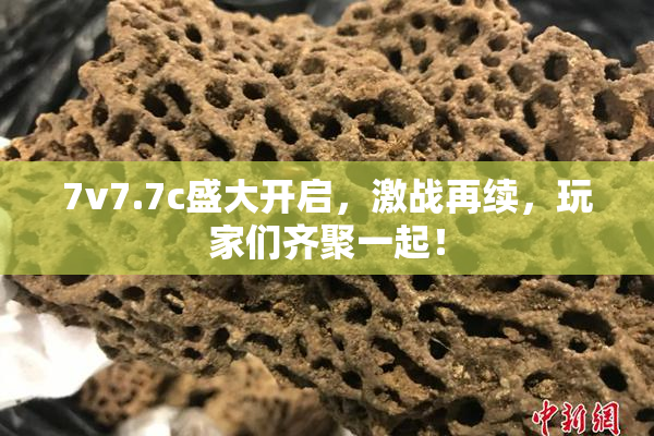 7v7.7c盛大开启，激战再续，玩家们齐聚一起！