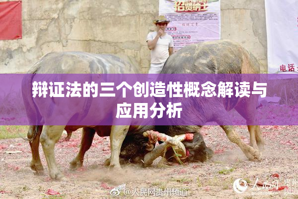 辩证法的三个创造性概念解读与应用分析