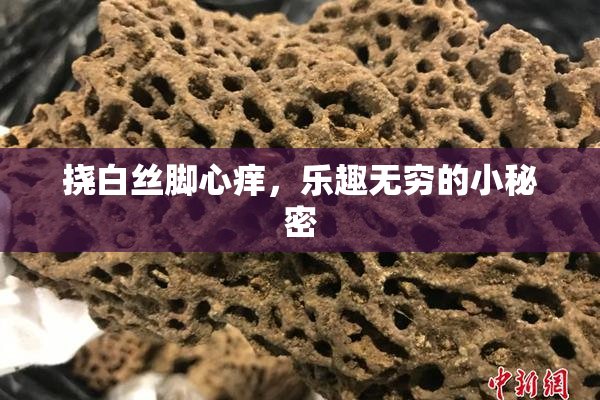 挠白丝脚心痒，乐趣无穷的小秘密