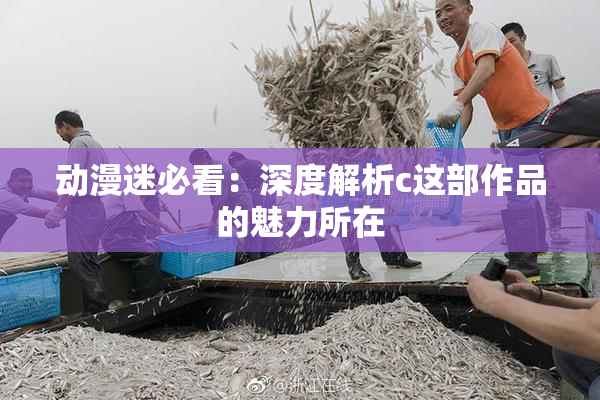 动漫迷必看：深度解析c这部作品的魅力所在