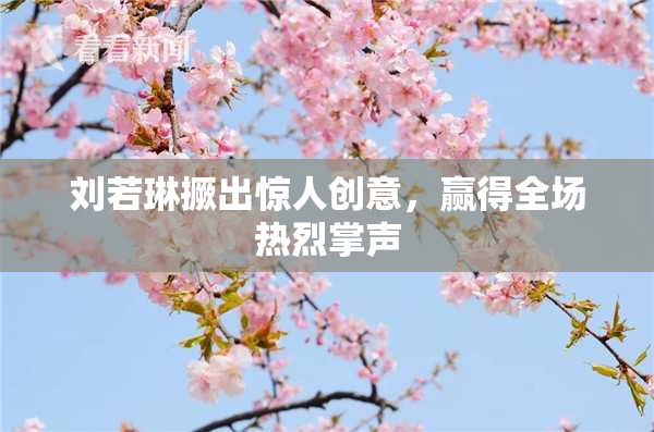 刘若琳撅出惊人创意，赢得全场热烈掌声