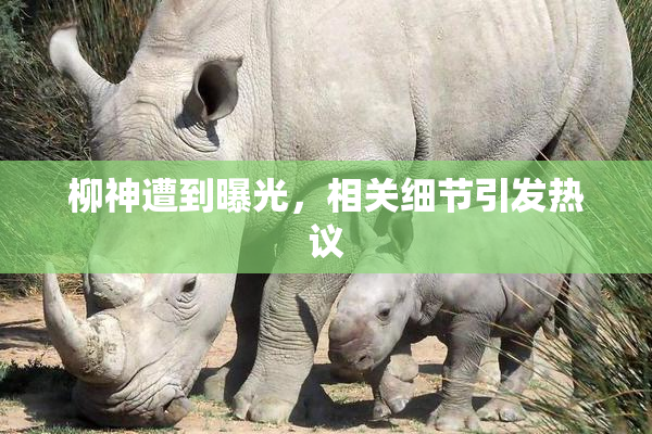 柳神遭到曝光，相关细节引发热议
