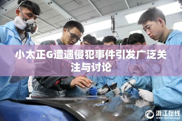 小太正G遭遇侵犯事件引发广泛关注与讨论