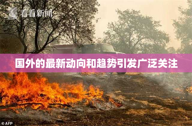 国外的最新动向和趋势引发广泛关注