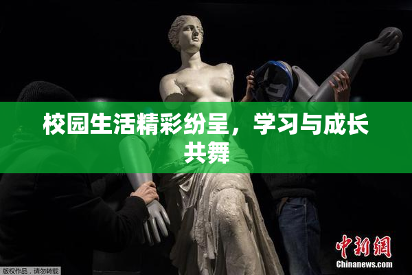 校园生活精彩纷呈，学习与成长共舞