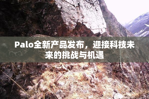 Palo全新产品发布，迎接科技未来的挑战与机遇