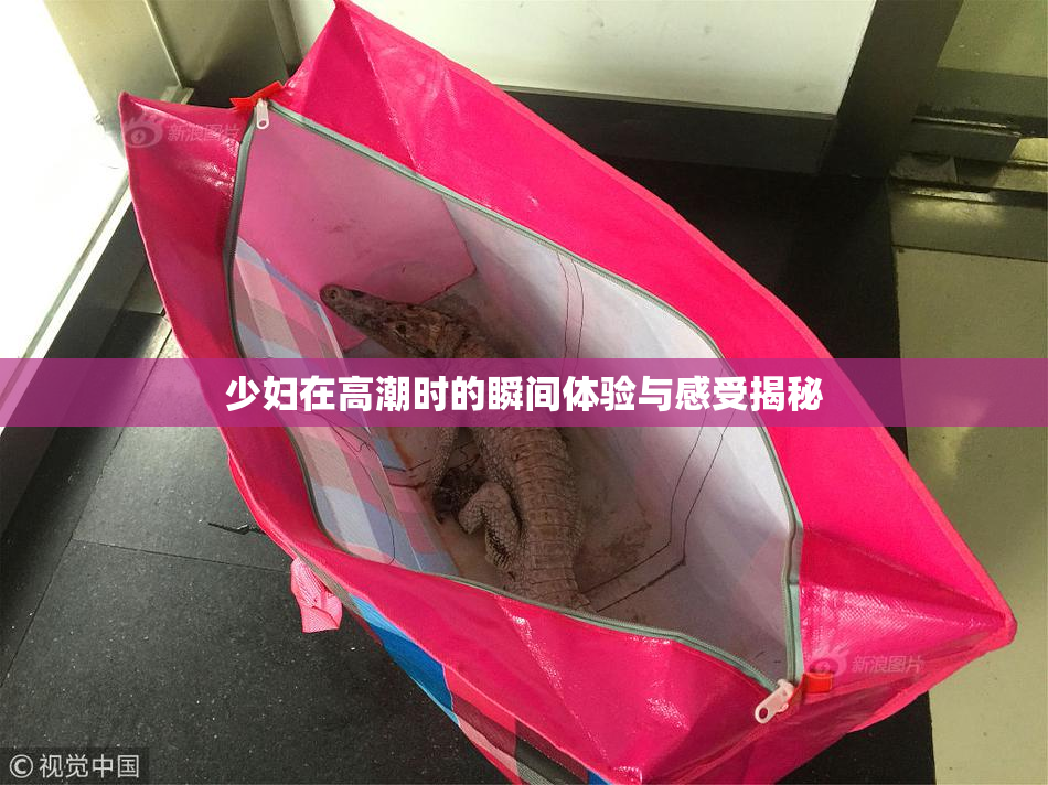 少妇在高潮时的瞬间体验与感受揭秘