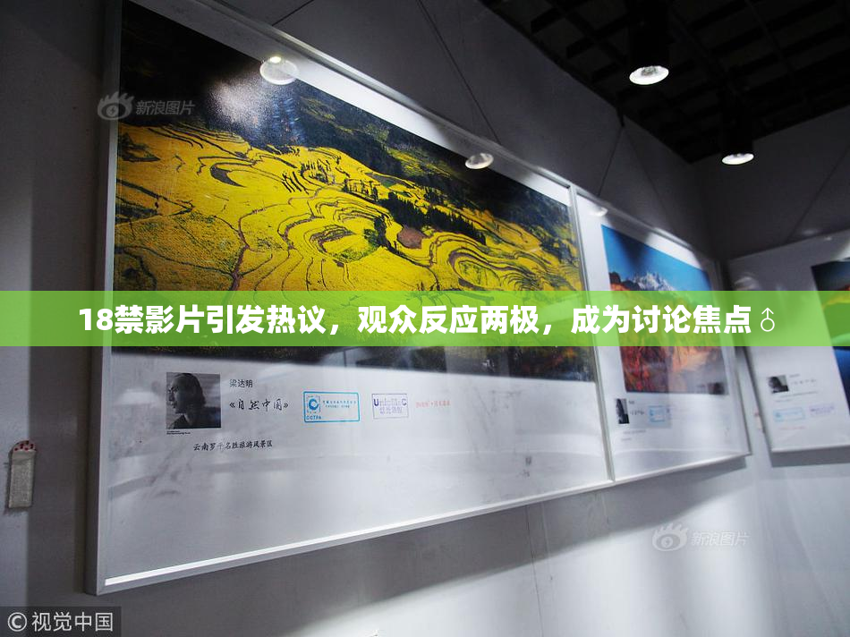 18禁影片引发热议，观众反应两极，成为讨论焦点♂