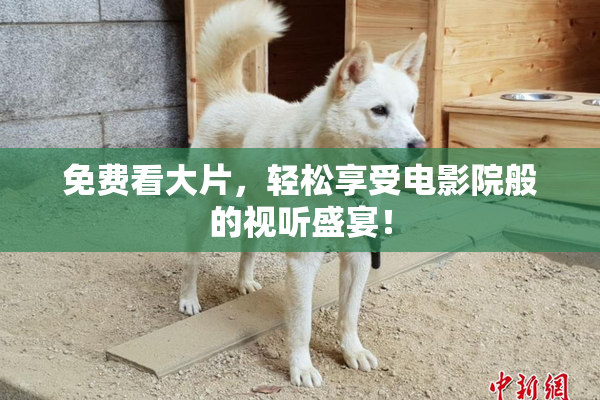 免费看大片，轻松享受电影院般的视听盛宴！