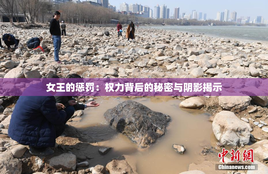 女王的惩罚：权力背后的秘密与阴影揭示