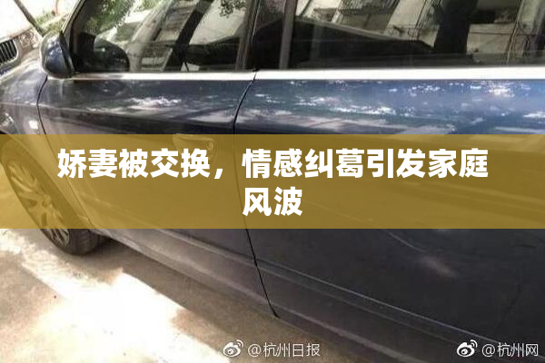 娇妻被交换，情感纠葛引发家庭风波