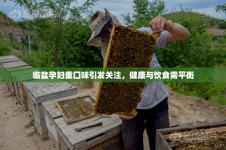 临盆孕妇重囗味引发关注，健康与饮食需平衡