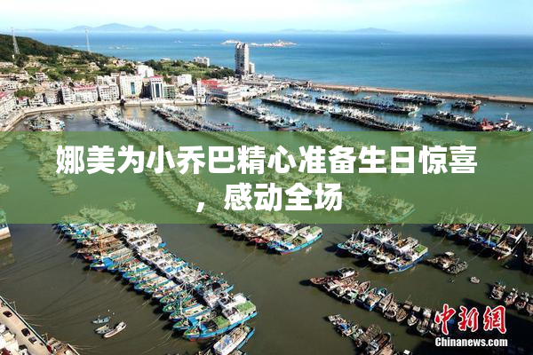 娜美为小乔巴精心准备生日惊喜，感动全场