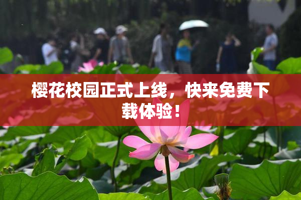 樱花校园正式上线，快来免费下载体验！