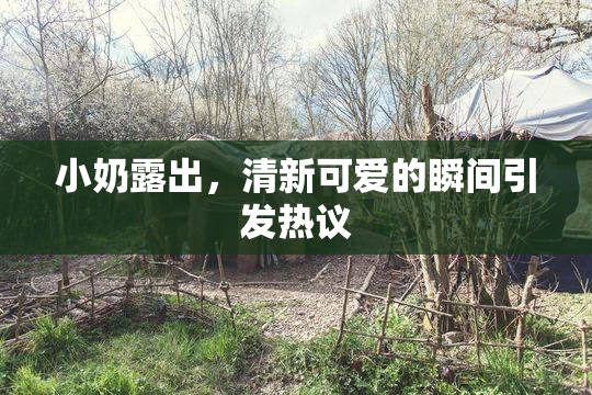 小奶露出，清新可爱的瞬间引发热议