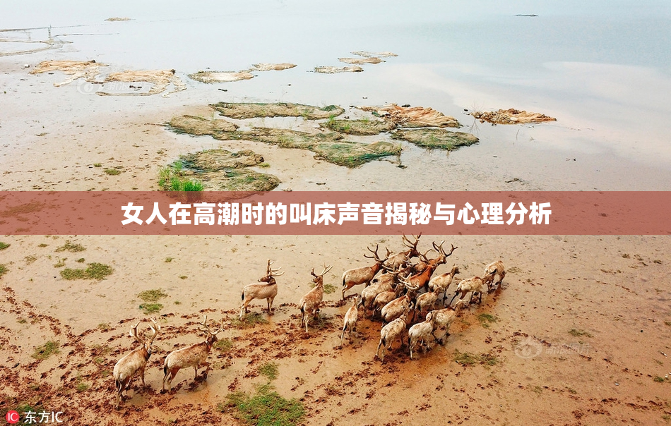 女人在高潮时的叫床声音揭秘与心理分析