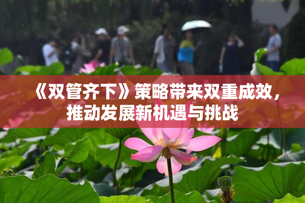 《双管齐下》策略带来双重成效，推动发展新机遇与挑战