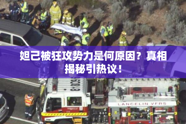 妲己被狂攻势力是何原因？真相揭秘引热议！