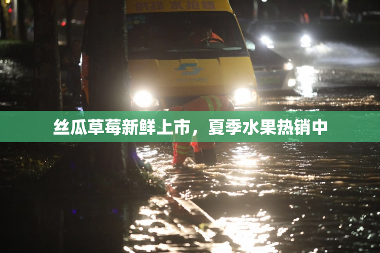 丝瓜草莓新鲜上市，夏季水果热销中