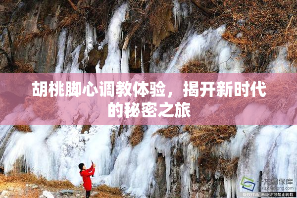胡桃脚心调教体验，揭开新时代的秘密之旅