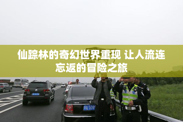 仙踪林的奇幻世界重现 让人流连忘返的冒险之旅