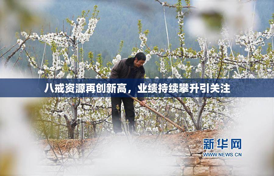 八戒资源再创新高，业绩持续攀升引关注