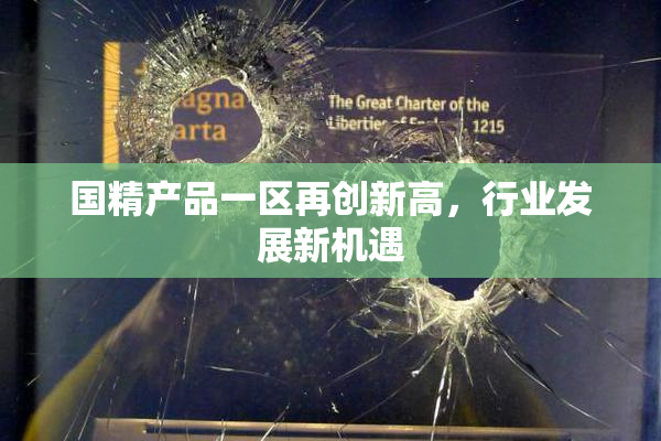 国精产品一区再创新高，行业发展新机遇