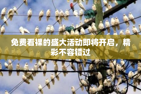 免费看裸的盛大活动即将开启，精彩不容错过