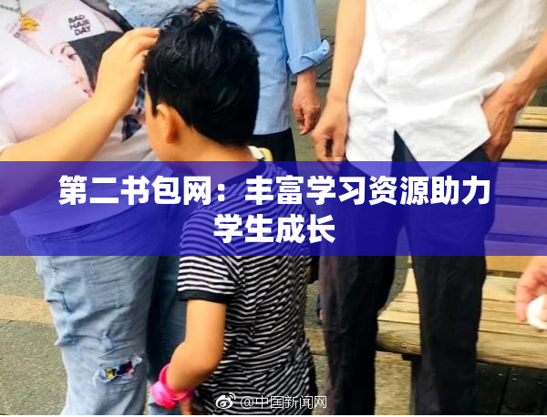 第二书包网：丰富学习资源助力学生成长