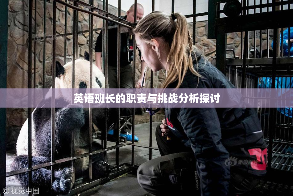 英语班长的职责与挑战分析探讨