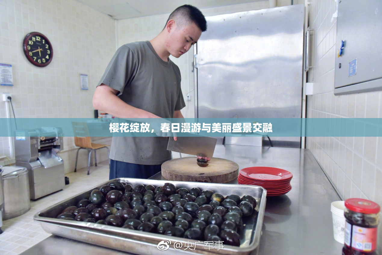 樱花绽放，春日漫游与美丽盛景交融