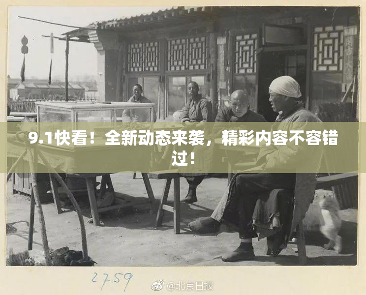 9.1快看！全新动态来袭，精彩内容不容错过！
