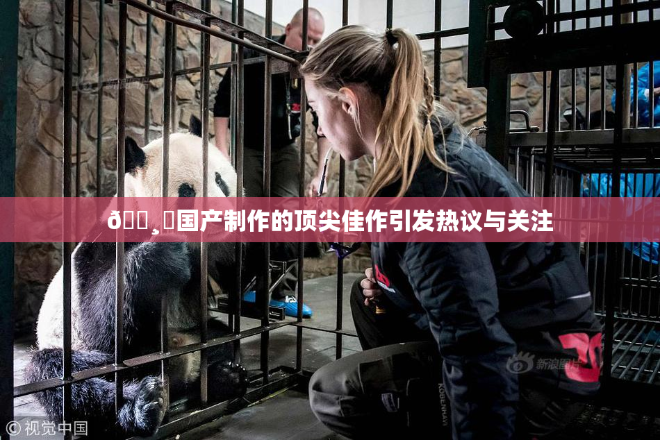 🌸‌国产制作的顶尖佳作引发热议与关注