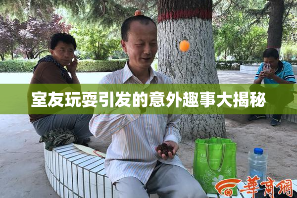 室友玩耍引发的意外趣事大揭秘