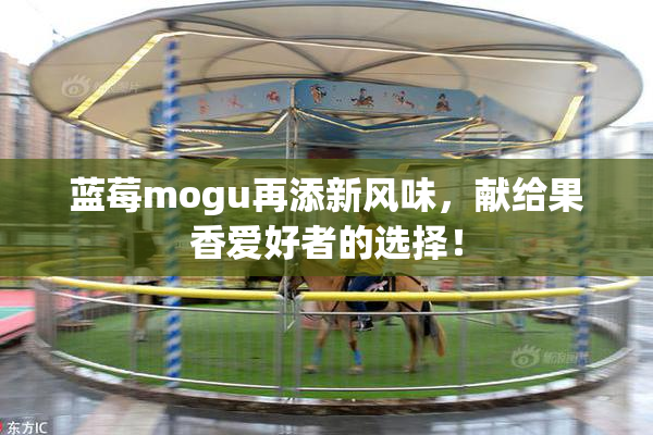 蓝莓mogu再添新风味，献给果香爱好者的选择！