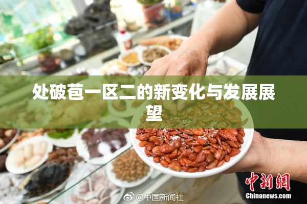 处破苞一区二的新变化与发展展望