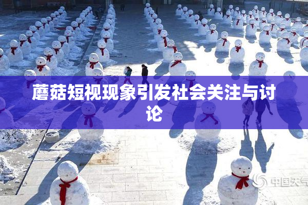 蘑菇短视现象引发社会关注与讨论