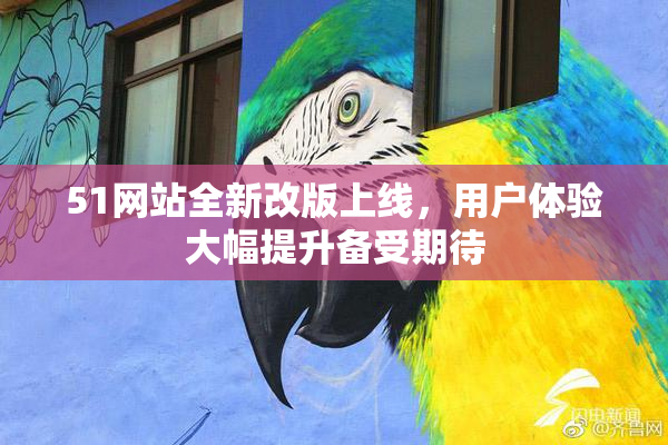 51网站全新改版上线，用户体验大幅提升备受期待