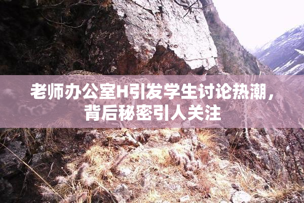 老师办公室H引发学生讨论热潮，背后秘密引人关注