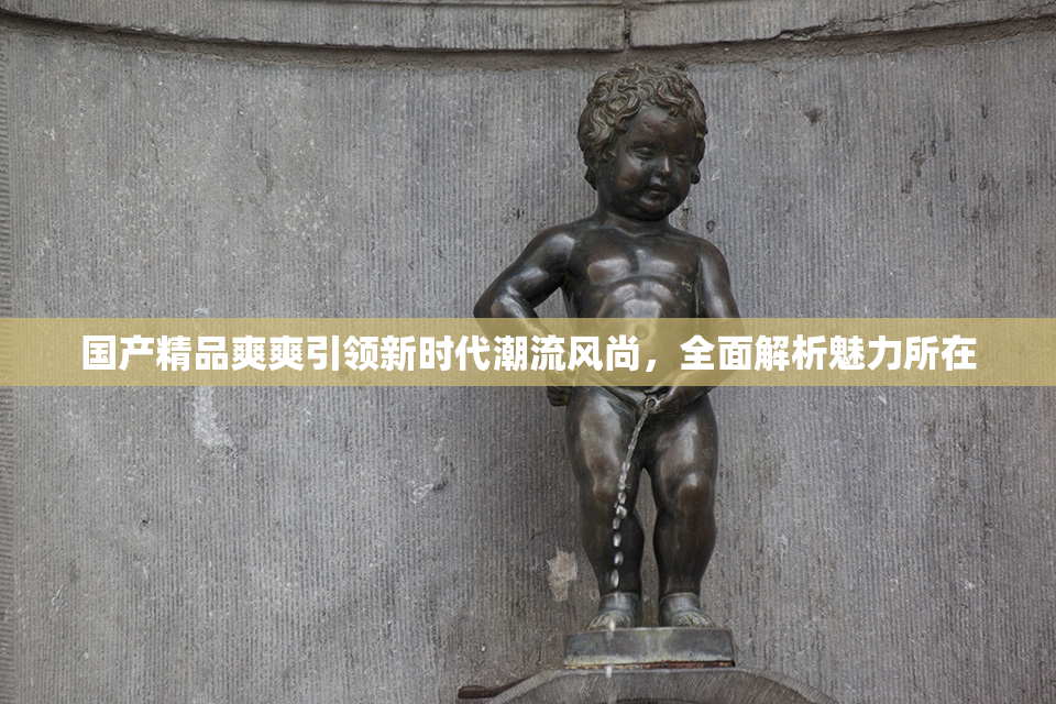 国产精品爽爽引领新时代潮流风尚，全面解析魅力所在
