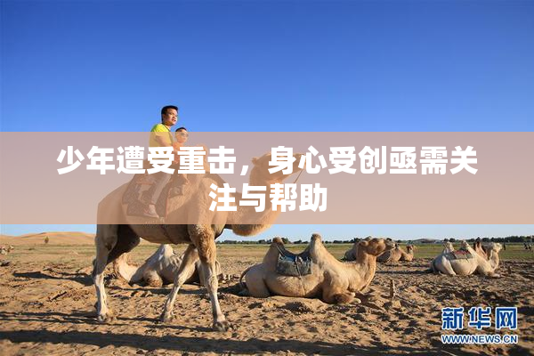 少年遭受重击，身心受创亟需关注与帮助